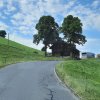 Frühlingsfahrt Juni 2023
