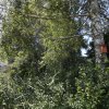 Nistkasten-03